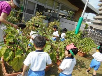 夏期休業中の預かり保育