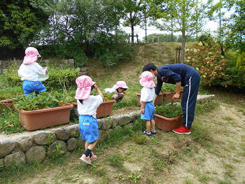 分散登園2日目