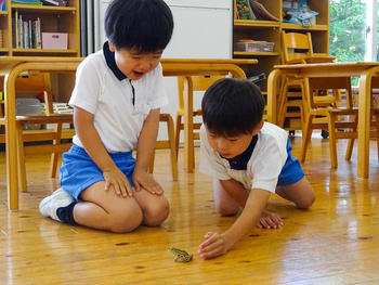 かえるくん「こんにちは」「さようなら」