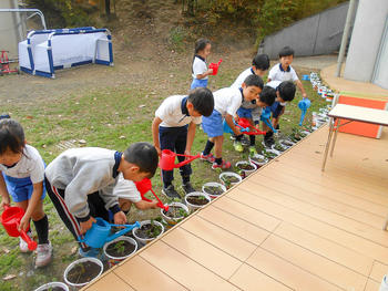 いちごの苗を植えました