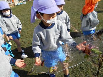 氷が張りました