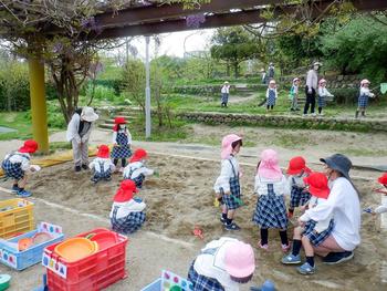 年少児はじめての園庭あそび