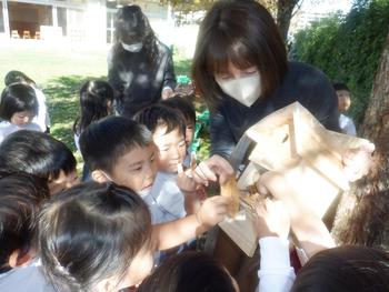 ♪小鳥さんが♪