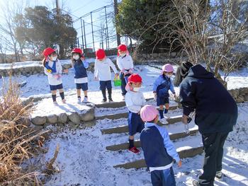 雪の朝