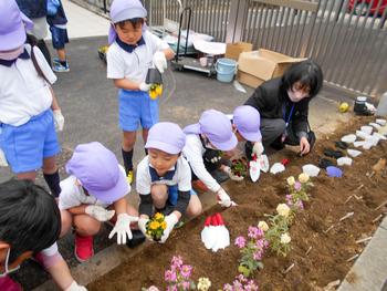 大学の先生とお花を植えました