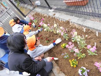 大学の先生とお花を植えました