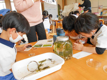 大学の先生と観察