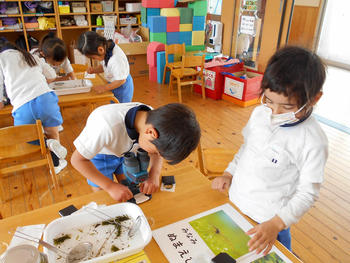 大学の先生と観察