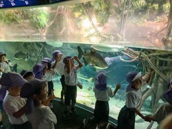 秋の遠足　海遊館