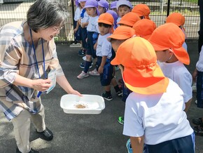 年中組　コスモスの種まき