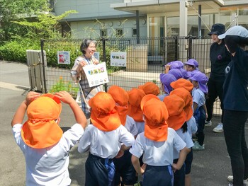 年中組　コスモスの種まき