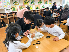 水中の生き物観察会