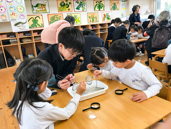水中の生き物観察会