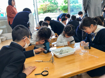 水中の生き物観察会