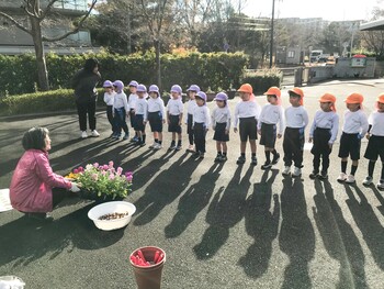 お花の苗植えをしました