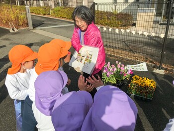 お花の苗植えをしました