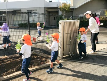 お花の苗植えをしました