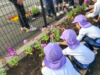 お花の苗植えをしました